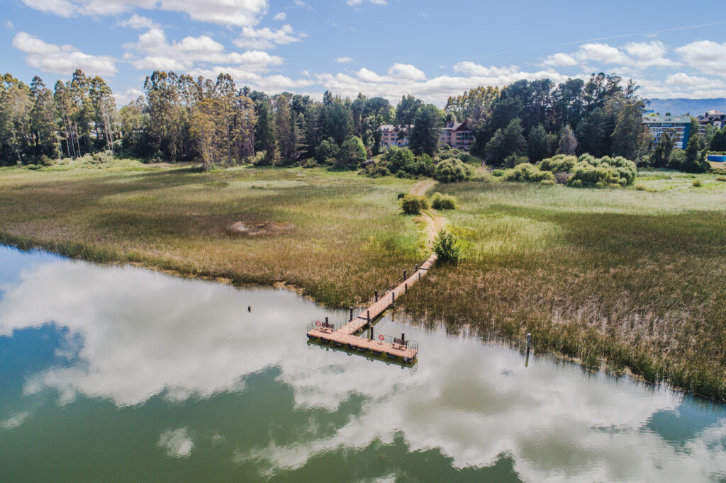 Muelle sobre el Río Cruces en verano